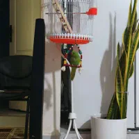 فروش قفص پرنده  معاوضه با اکواریوم