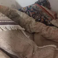 فروش فرش دست دوم|فرش|تربت جام, میان جام|دیوار