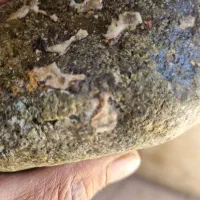 سنگ مشکوک|کلکسیون اشیاء عتیقه|زیباشهر, |دیوار