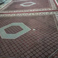 فرش ریزه ماهی|فرش|زنجان, |دیوار