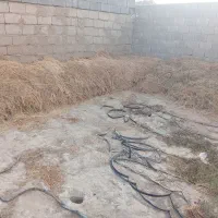 فروش یونجه|لوازم جانبی حیوانات|بوشهر, |دیوار