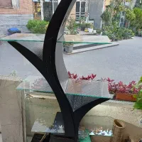 ویترین درختی و میز