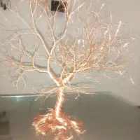 درختچه مسی
