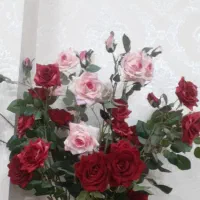تعدادی گل رز مصنوعی