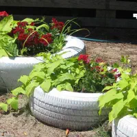 باغبانی ودرختکاری وکارهای تخریبی