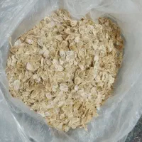 گلپر از دل کوه های الموت