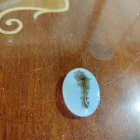 سنگ شجر اصل