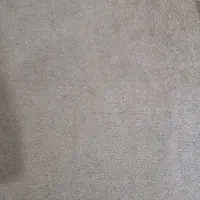 پالاز موکت