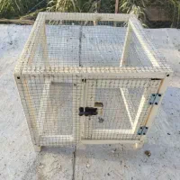 قفس|لوازم جانبی حیوانات|بم, |دیوار