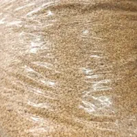 کنجد طلایی ۵ کیلویی تمیز|خوردنی و آشامیدنی|شیراز, دشت چنار|دیوار