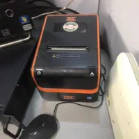 دو عدد پیرینتر فیش زن