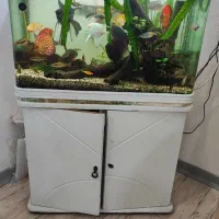 اکواریوم دلسا k800