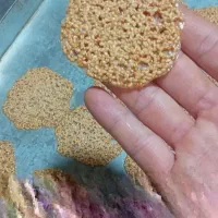 آموزش شیرینی پزی انواع شیرینی‌های خشک   پادرازی|خدمات آموزشی|مشهد, شفا|دیوار