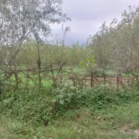 زمین با کاربری مسکونی زیر قیمت