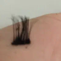 فقط و فقط ۲۰۰