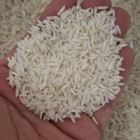 برنج دم سیاه درجه یک|خوردنی و آشامیدنی|گنبد کاووس, |دیوار