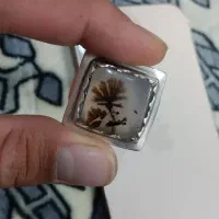 انگشتر شجر فوق کلکسیونی|جواهرات|خرمآباد, |دیوار