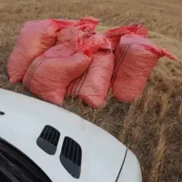 زمین کشاورزی در روستای تکدام