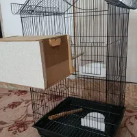 قفس بزرگ