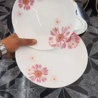 دنیای آرکوپال|ظروف سرو و پذیرایی|سنندج, |دیوار