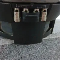 سهره|پرنده|سقز, |دیوار