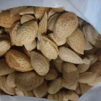 بادام درختی