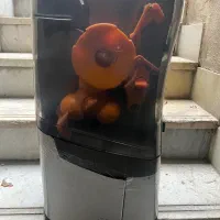 اب پرتغال گیری زومکس minex