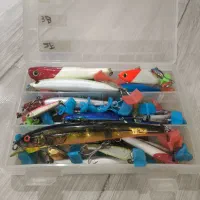 قلاب ولانسه مایگیری