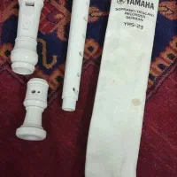 فلوت حرفه ای|سازهای بادی|مشهد, نکاح|دیوار