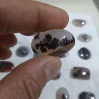 سنگ شجر قاین بی نظیر تک درخت سوزنی|جواهرات|مشهد, ثامن|دیوار