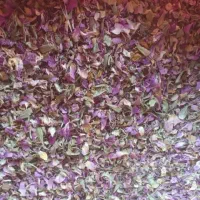 استخدام نیروی باتجربه عطاری