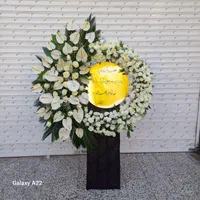 تاج گل،گلفروشی ، سبد گل ، دسته گل ، باکس گل|گل و گیاه طبیعی|مشهد, امیر|دیوار