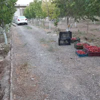 ویلا باغ معاوضه یا فروش