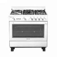 اجاق گاز اسنوا