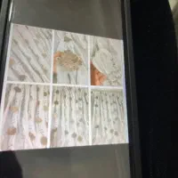 پرده پذیرایی