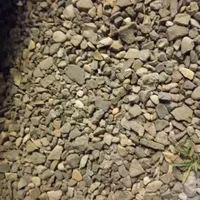 سوییچ موتور