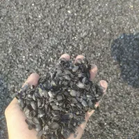 کربن پسته|عمدهفروشی|رباطکریم, وهن آباد|دیوار