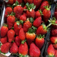 استخدام حسابدار آقا