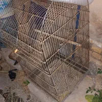 قفس بزرگ پرنده