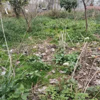 زمین-تجاری-مسکونی