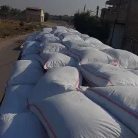 فروش کود سفید.دی امونیوم.پتاس.فسفات.گندم خدماتی|خدمات باغبانی و درختکاری|شوشتر, |دیوار