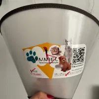 الیزابت سگ سایز ۳