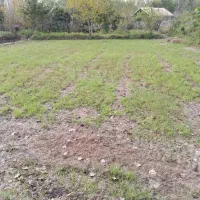 فروش زمین کشاورزی واقع در ارباستان لاهیجان|فروش دفتر صنعتی، کشاورزی، تجاری|لنگرود, |دیوار