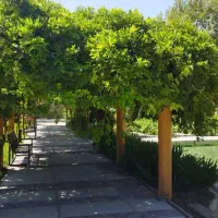 ویلا، ۱۲۰۰۰متر،مشکین دشت|فروش خانه و ویلا|محمدشهر, ولدآباد بزرگ|دیوار