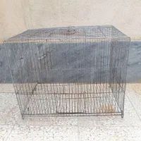 قفس پرنده|لوازم جانبی حیوانات|شیراز, شهرک گلها|دیوار