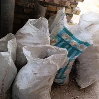 کود کفتر کبوتر