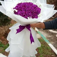 گل روبانی جاودان با قیمت مناسب