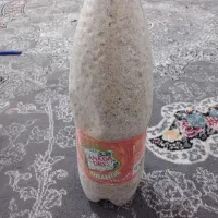 گیاه