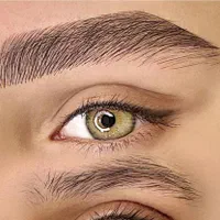 آرایش دائم میکرو بلیدینگ فیبروز مدل تتو تاتوبدن|خدمات آرایشگری و زیبایی|تهران, هاشمی|دیوار