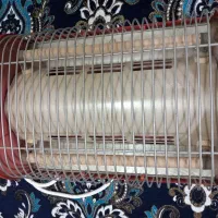 تلوزیون و دیجیتال|تلویزیون و پروژکتور|مشهد, رده|دیوار